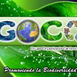 GocaUcla's profile picture. Grupo Organizado del Decanato de Agronomía, comprometidos con la preservación del ambiente y sus recursos naturales, Basados en Principios Agroecológicos.