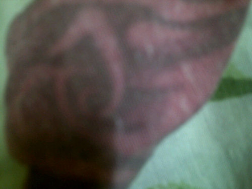 EmbatW's profile picture. I am leveng uae for long taiem bet amnot lake wen ai akspekt wen icam. Dfeferent tahat swai ame nnot lake