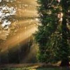 decidenow36's profile picture. I live in Denver co and love the mountains and the aspens. I also loves hiking!