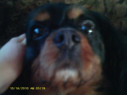 tiffanygordon2's profile picture. 