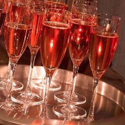 SugarChampagne's profile picture. Save the date! 2/5/14 of this sweet celebration in support of the Washington Humane Society. Tix: http://t.co/AutPP9llvf