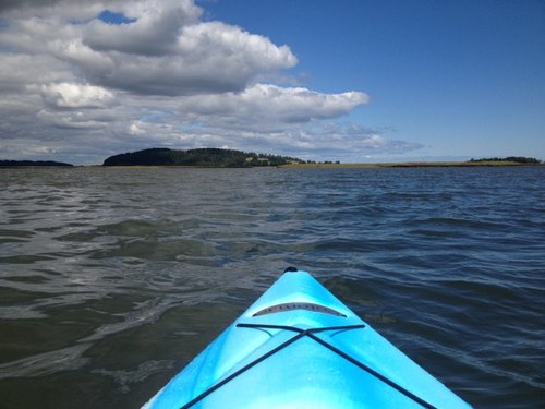 kvbucci's profile picture. 