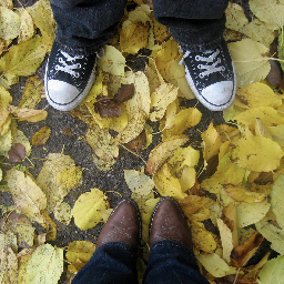 moonlizzy's profile picture. 