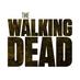 The Walking Dead AMC (@_thewalkingdead) Twitter profile photo