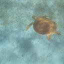 Cindy Pack - @ziggedo - Twitter