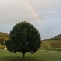 Rick Hesterberg (@moreheadeagle) 's Twitter Profile