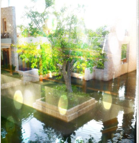 miniluxzoom's profile picture. 