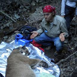 joe_kermit's profile picture. Wildlife biologist with carnivore ecology interests.