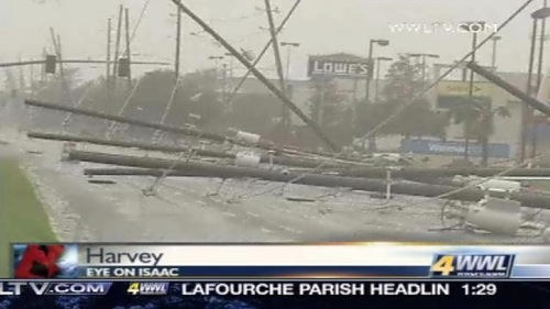 _YungWill24's profile picture. 