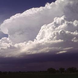 LouisWytt's profile picture. For Beats & Booking Email: gfge2010@yahoo.com
3rd Coast Lifestyle. GoodFellas 4Ever