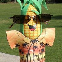 The Kernel (@meetthekernel) 's Twitter Profile