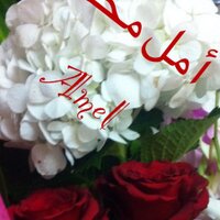 أمل بنت محمد الناصر (@n_amel) 's Twitter Profile