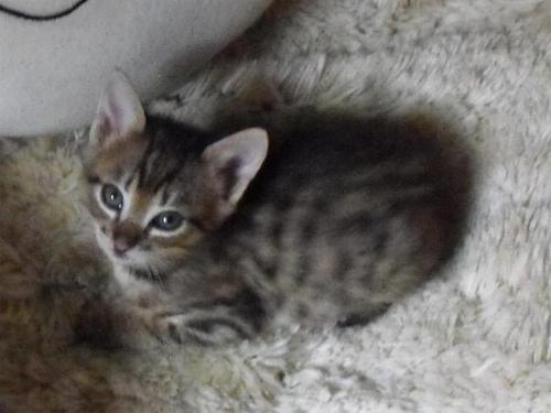 RubberNoses's profile picture. Sort of a Catalog - ^..^