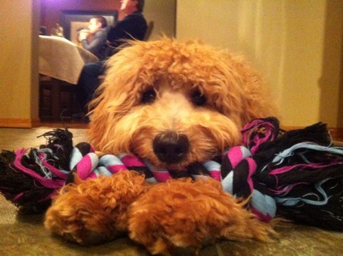 JHickLane's profile picture. 