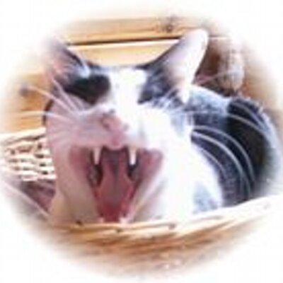 ほーりー リステリン 紫 が最強らしいけど副作用はないの 使い方と効果まとめ T Co Wkk6bxypw2 トータルケア No6 フッ素 配合 虫歯 日本 未発売 日本での発売に猛反対 歯医者 は潰れろ 不要 日本歯科医師会 はクズの集まり
