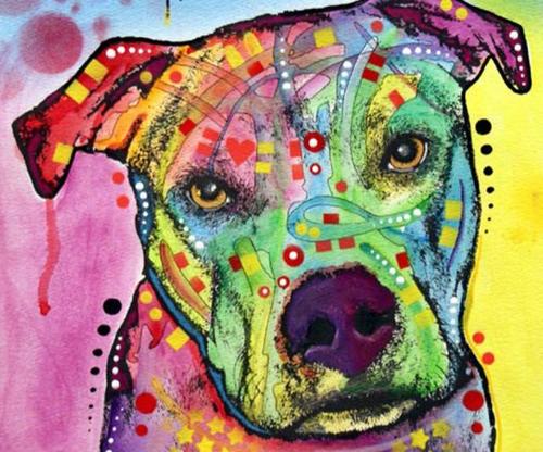 BoydEbbert's profile picture. 