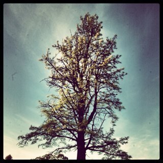 deangnett's profile picture. 