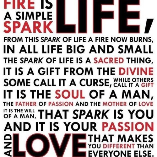 IWillNotJudge's profile picture. 