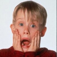 Kevin McCallister (@home_alone_kev) 's Twitter Profile Photo