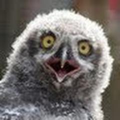 Krupaq's profile picture. 