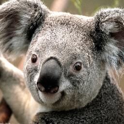 ChristiPerri_RP's profile picture. .Single aja kok