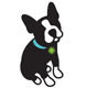 PawshDogBoston's profile picture. Dog boutique & salon in Boston's Back Bay, steps from Newbury St. at 31 Gloucester St.