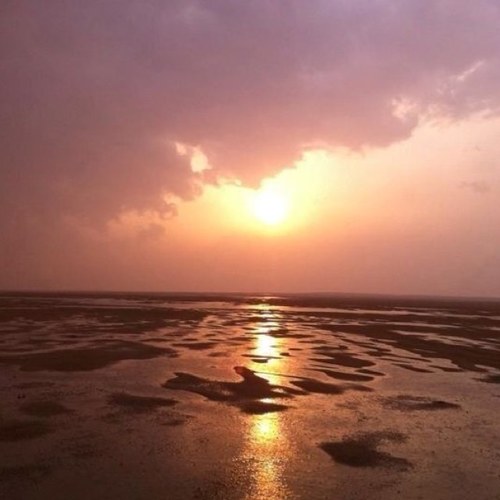 noram7mad's profile picture. 