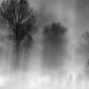 Ana Clarke - @bananacluck - Twitter