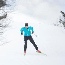 Humlepung1's profile picture. 