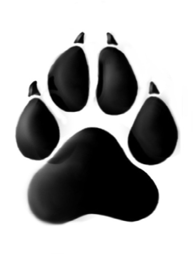 Pawsaur's profile picture. Community manager and eSports Influencer