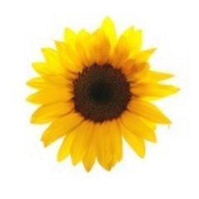 この言葉で大切な人は救われる Himawarisaitane Twitter