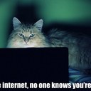 kitty mcgee - @MsLerma - Twitter