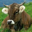 elisa rossi - @elisarossi21 - Twitter