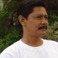 toleyanto's profile picture. 