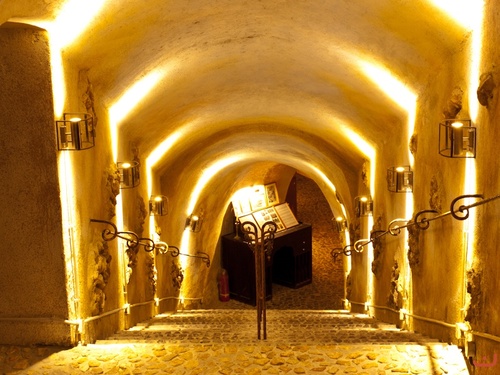 The unique natural underground wine museum all over Greece is in Santorini island.