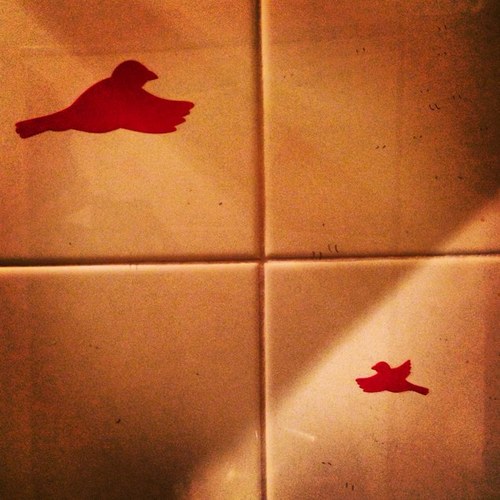 Binemeddeko's profile picture. 