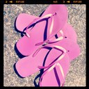 Marlene Scheer - @marmar1012 - Twitter