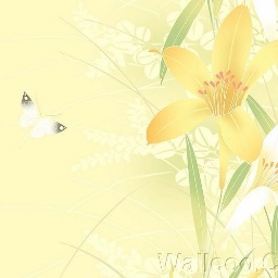 LeeYanTim's profile picture. 