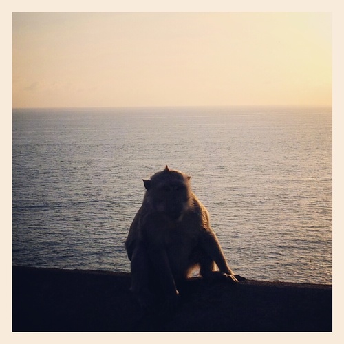 howardkeum's profile picture. 