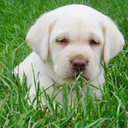 Felicity Barton - @f_barton2 - Twitter