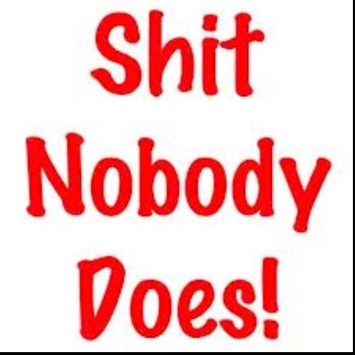 Shit_Noone_Does's profile picture. Tweeting about shit that nobody does.