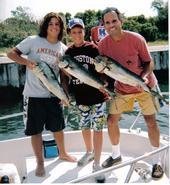 dandauge's profile picture. 