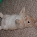 タンデムライダー - @eve_quick_rider - Twitter