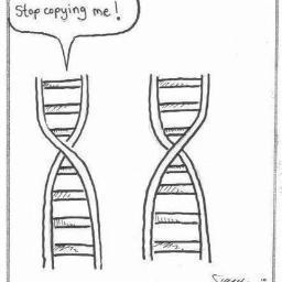 Genetics, statistics, nutrition, anything with wings...