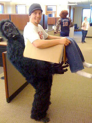 TrevorStinson's profile picture. 