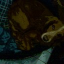 sally harding - @busty_barmaid01 - Twitter