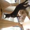 jo bingham - @JoannePauljo7 - Twitter