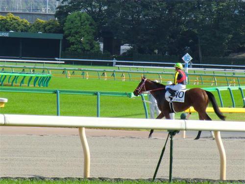 心の余裕を持とう🏖️ 競馬好き🏇 ナンバーズ攻略中🕵️