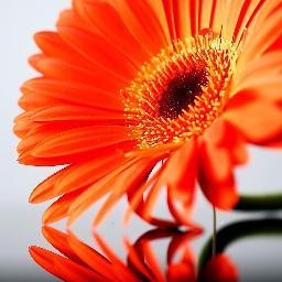 Change the world with your smile.Don't let the world change your smile