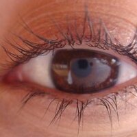 fepemadi (@dimapefe) 's Twitter Profile